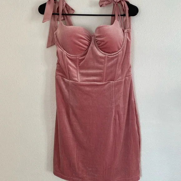 Pink Velvet Dress - Picture 3 of 5